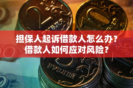 北京担保人起诉借款人怎么办？借款人如何应对风险？