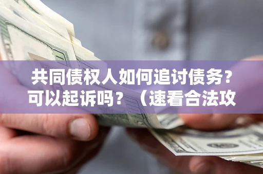 北京共同债权人如何追讨债务？可以起诉吗？（速看合法攻略）