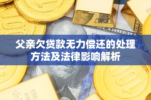 北京父亲欠贷款无力偿还的处理方法及法律影响解析